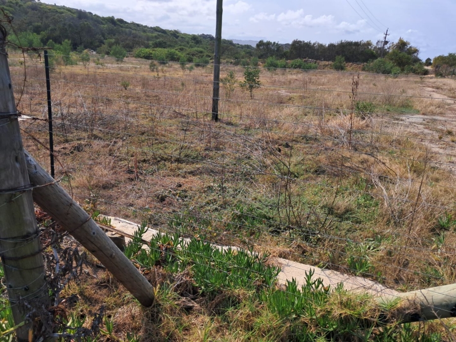  Bedroom Property for Sale in Tergniet Western Cape